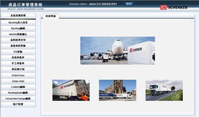上海網(wǎng)站建設與設計 天照科技的專業(yè)服務方案